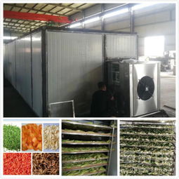 振科新型蔬菜烘干機的“長壽秘訣”