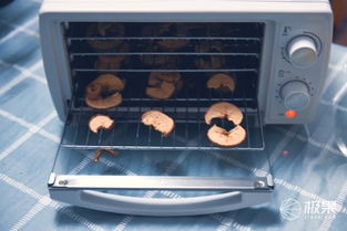 360°烘干，原汁原味即刻享用 金正家用食品水果烘干機全體驗