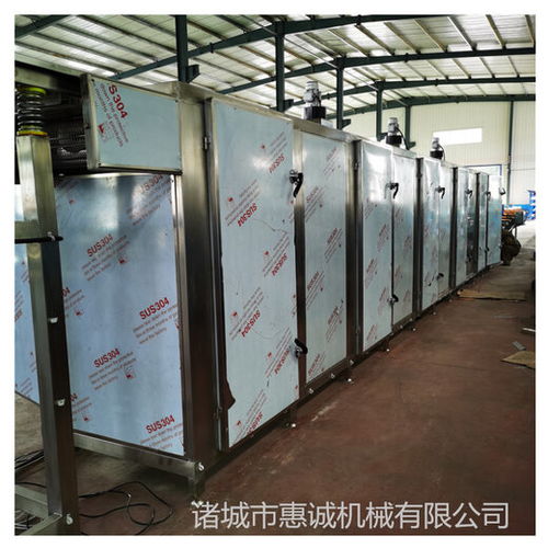 高效智能的果蔬烘干解決方案 詳解不銹鋼網(wǎng)帶烘干機及其生產(chǎn)線