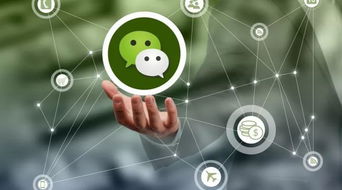 微信上千萬(wàn)別做的危險(xiǎn)行為，三言兩語(yǔ)就可能送你坐牢